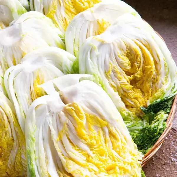 HACCP 해남절임배추 20kg