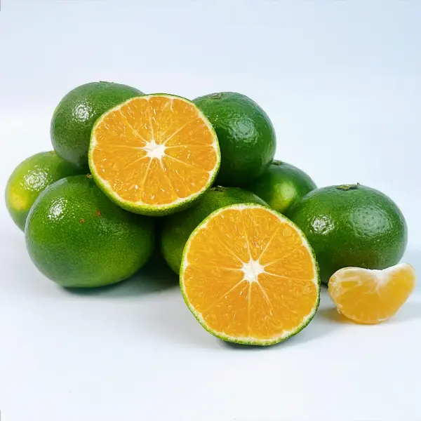 노지감귤 9kg L-2L