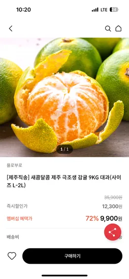 제주 극조생 감귤 9kg
