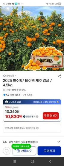 타이벡 제주 감귤 4.5kg