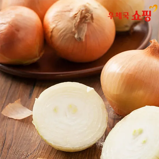 햇양파 5kg 중대혼합