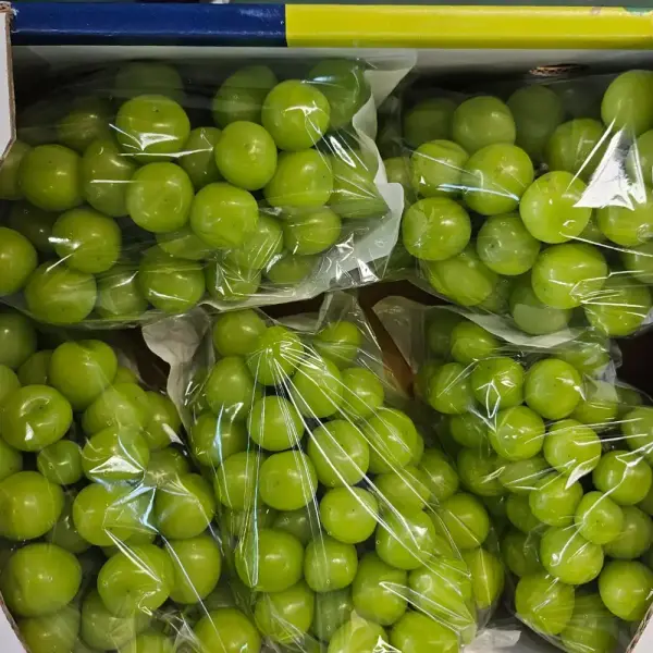 샤인머스켓 4kg 5수