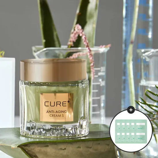 김정문 알로에 안티에이징 크림 50g 3개 젤리크림 10개