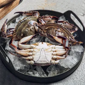 태안 자연산 활 꽃게 3kg 9-15미