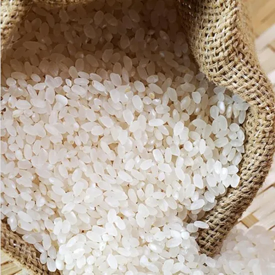 새청무 상등급 10kg