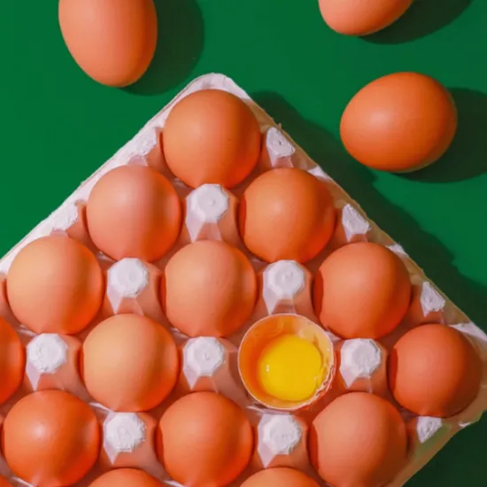 자연방사 유정란 40구