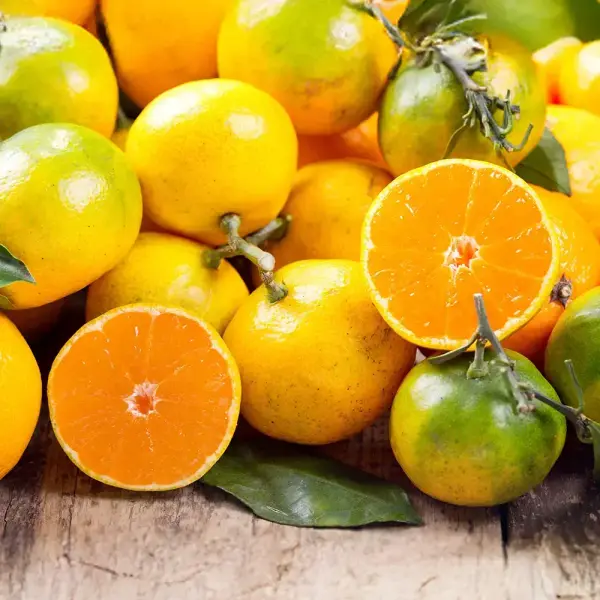 제주 노지감귤 10kg L-2L과 혼합