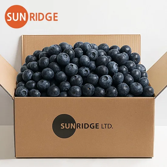 블루베리 125g 4+1팩