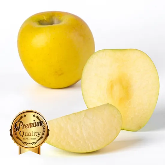 시나노골드 황금사과 2kg 16과내외