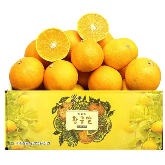 제주감귤협동조합 황금향 3kg 중소과 15과~30과내외