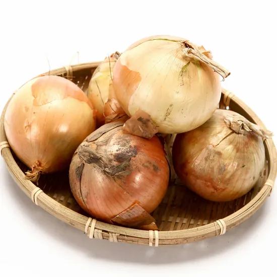단단하고 야무진 만생종 양파 5kg 특상중혼합