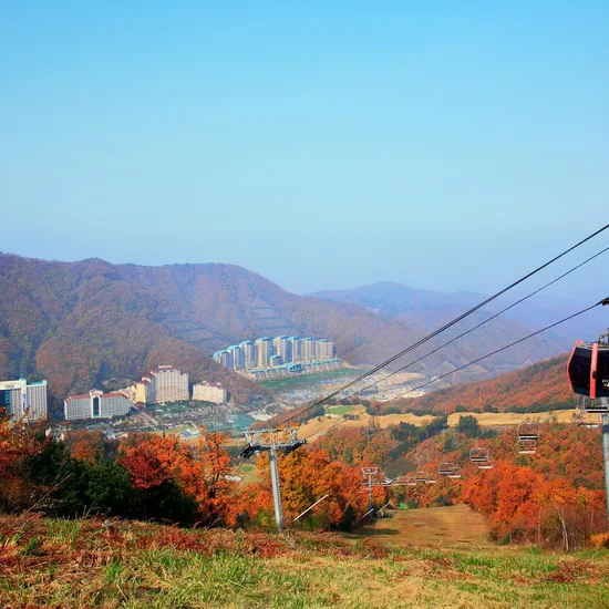소노벨 비발디 파크