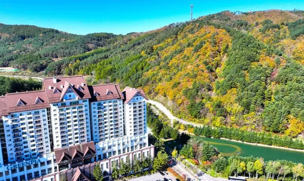 그린피아 콘도 겨울얼리버드특가