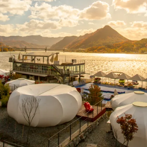 캠프통 아일랜드 포레스트 룸온리 숙박권