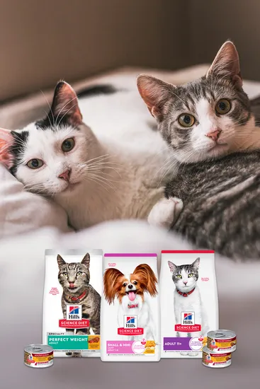 힐스 고양이사료 어덜트 퍼펙트 웨이트 6.8kg