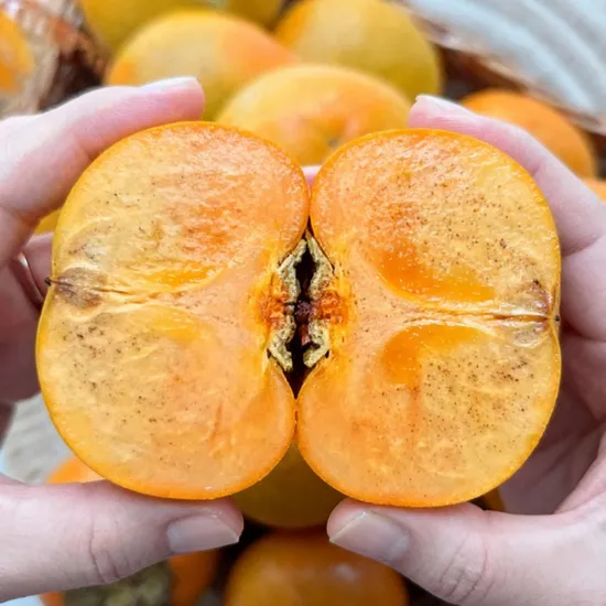 햇단감 가정용 2kg 14과 내외