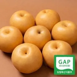 GAP인증 나주배 5kg 8-9과