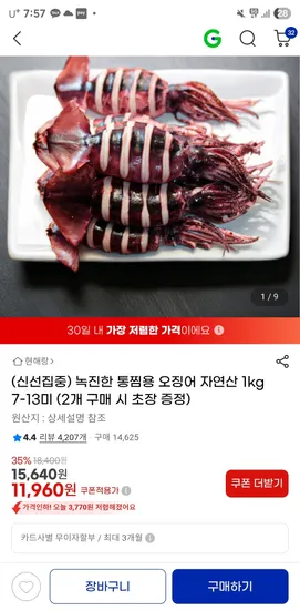 통찜용 자연산 오징어 1kg