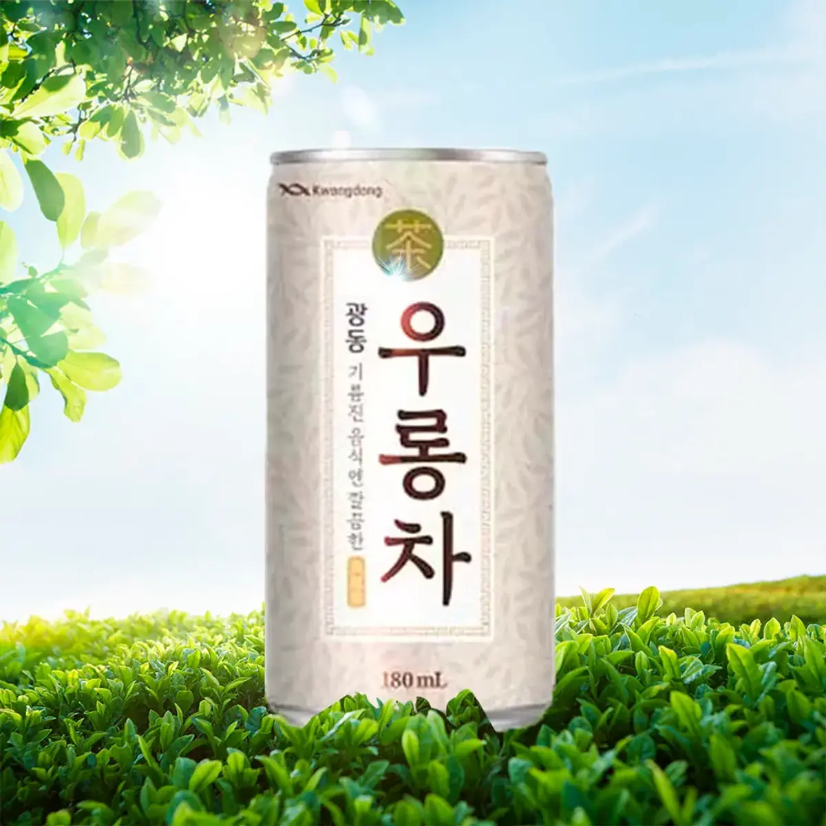 광동 우롱차 180ml 60캔
