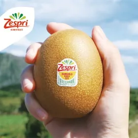 제스프리 썬 골드키위 1.5kg 15입