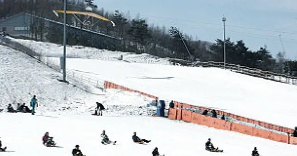 알펜시아 홀리데이인 스위트콘도 조식 오션 2인 패키지, 3인 패키지, 4인 패키지