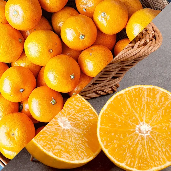 제주 황금향 2.5kg 감귤 2.5kg