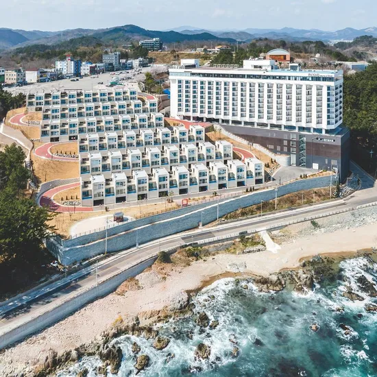 파나크 오퍼레이티드 바이 소노