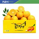 귤로장생 고당도 황금향 4kg 중소과