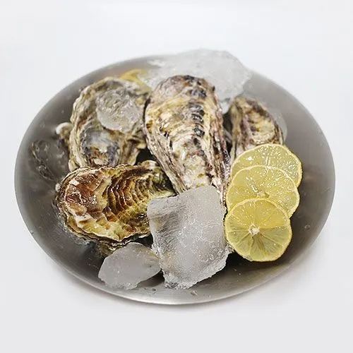 통영 각굴 석화 5kg