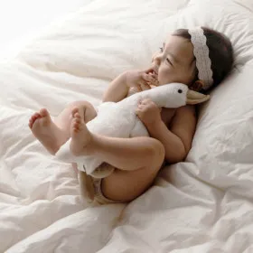 블랑가또 오리 애착 인형 스몰