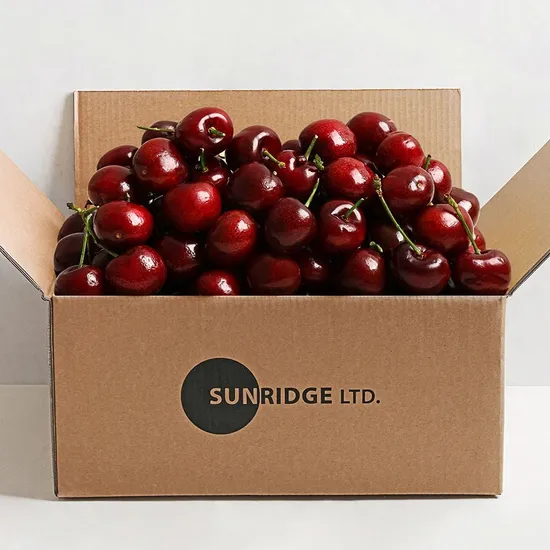 항공직송 체리 10R(대과) 700g(350gx2팩)