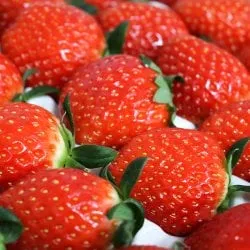 논산 설향 딸기 특품 700g(20-30구)