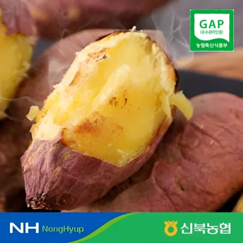 신북농협 GAP인증 영암 황토 세척 꿀고구마 3kg