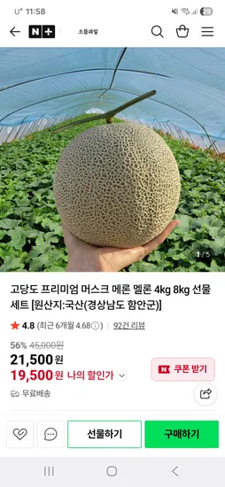 국내산 멜론 2개 (4kg)