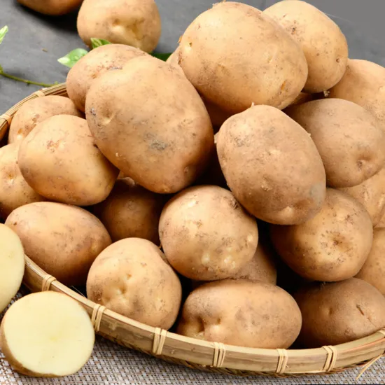 또드림마켓 알감자 중과 2kg