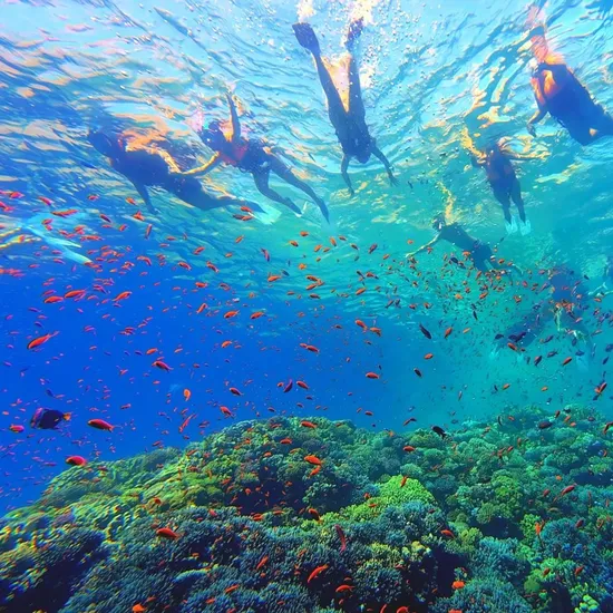 인도네시아 마나도 3박 5일