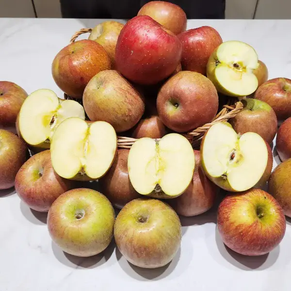 청송 부사 꿀사과 2kg