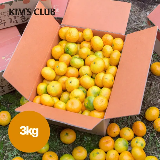 제주 감귤 소중과 3kg