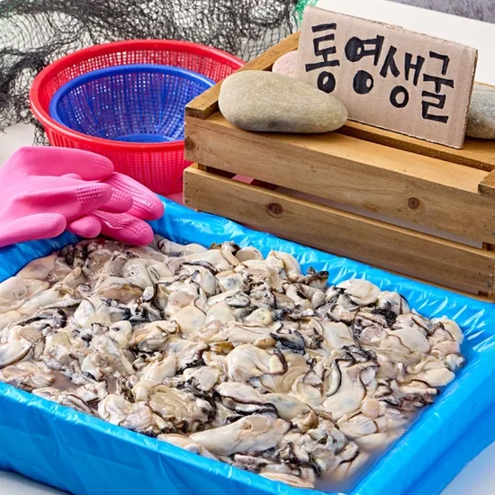 통영 생굴 1kg 9900원