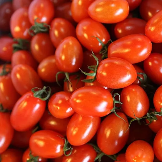 논산 대추방울토마토 로얄과 2kg