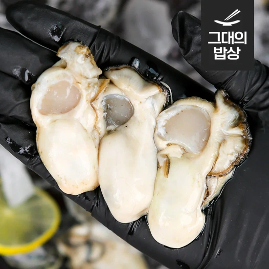 통영 생굴 500g (3,652/무료)15