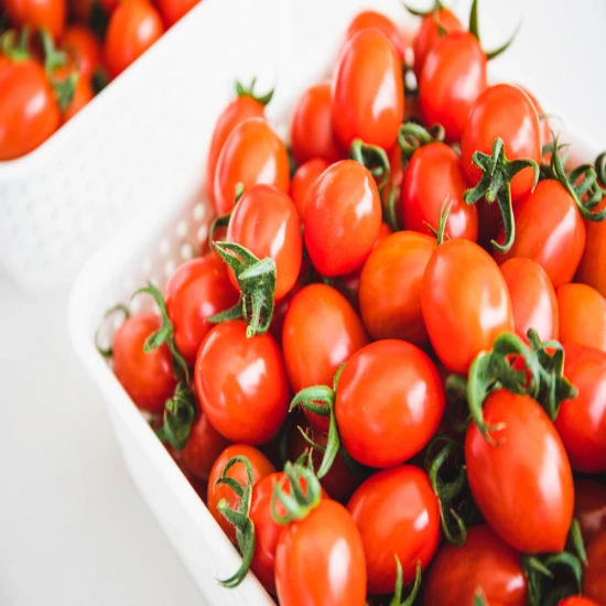 대추 방울 토마토 1kg 첫구매(1,574원/무배)