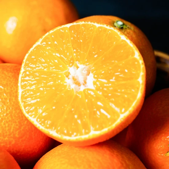 달콤한 꿀폭탄 제주 서귀포 황금향 4.5kg (소/30-45과/가정용)(11,862원/무배)1