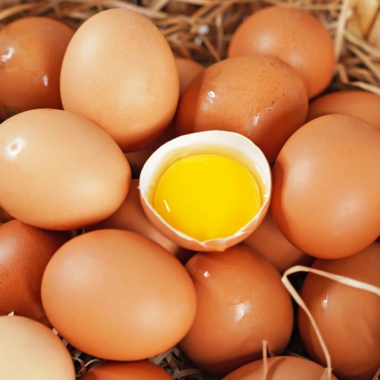 히말라야 핑크솔트 400g 1통 (928원/국내무배) 무항생제 난각번호 1번 자유방사 유정란 20구 (4,716원/국내무배)3