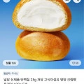 단백질 25g 저당 영양 크림빵 120g 5개(9,691원/무료)