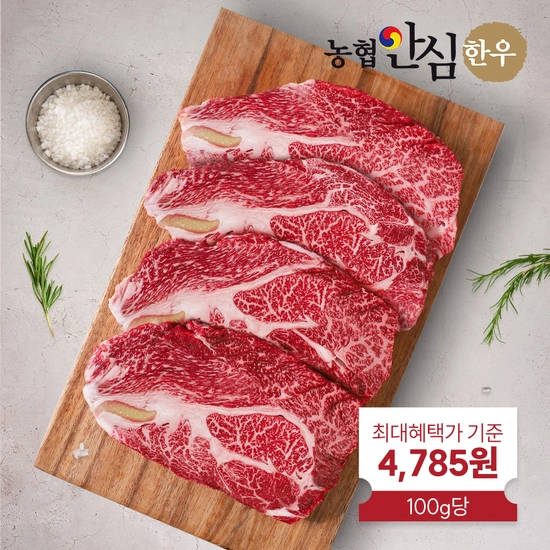 농협 안심한우 1등급 한우등심 600g (28,710원/무배)