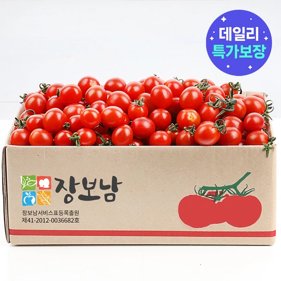 ] 대추 방울토마토 토마토 2kg (8,400원/무료)25