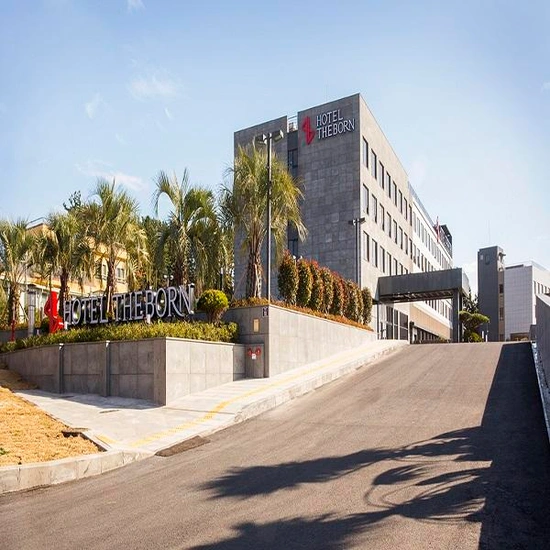 ] 제주더본호텔 디럭스트리플룸+단독특전 11~12월 얼리버드 (140,000원~/무료)25