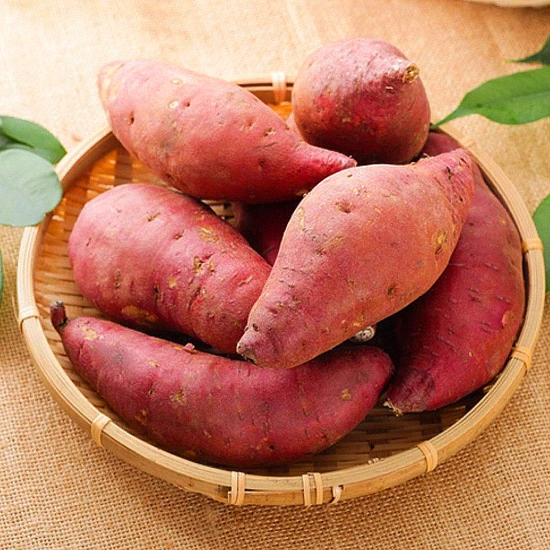 꿀 고구마 베니하루카 2kg 중/대 (8,500원/무료)2