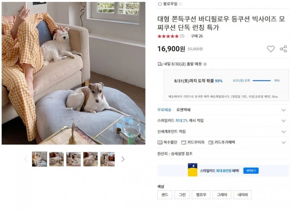 대형쿠션 85x75 (16,900/무료)5